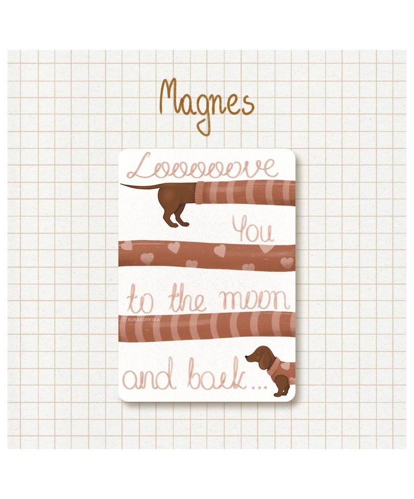 Magnes z jamnikiem Magnes z jamnikiem
